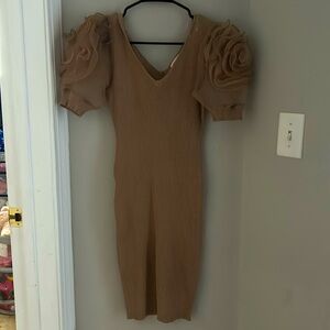 Main trip , arm ruffled dress.